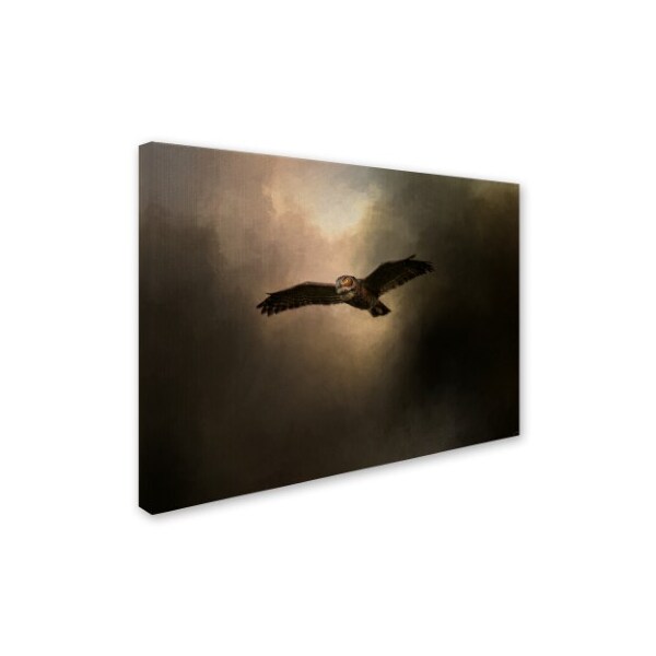 Jai Johnson 'Night Of The Owl 2' Canvas Art,35x47